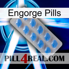 Engorge Pills 22